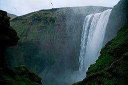 Tamarind falls hiking trip - full day